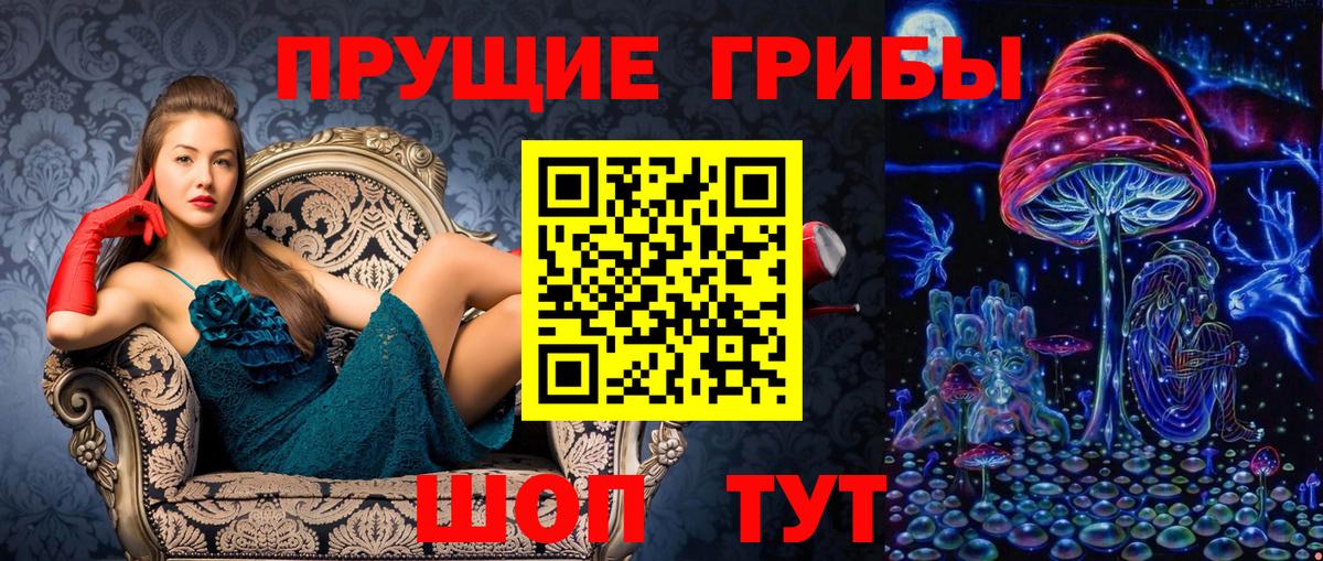 Псилоцибиновые грибы Cubensis Кемерово