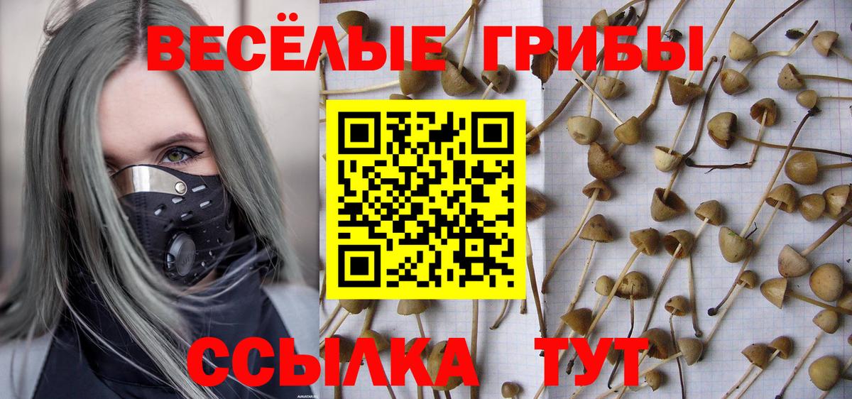 Кемерово  Псилоцибиновые грибы Magic Shrooms  Галлюциногенные грибы прущие грибы  Вход с VPN 